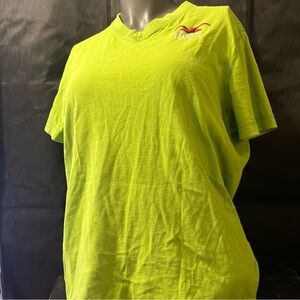 Hollister Lime Green Y2K Short Sleeve Sz L Surfer Cut